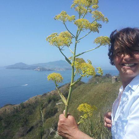Mary'S Dream - Villa Overlooking Capri And Ischia In Sorrento Peninsula Massa Lubrense Esterno foto
